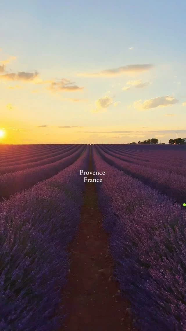 Provence cet été ?? ✨ Enregistre pour nos endroits préférés de Provence et dans le Sud de la France : 
- Plateau de Valensole
- Les Calanques de Marseille 
- Gorges du Verdon 
- Le village de Moustiers-Sainte-Marie
- Le village d’Eze
- Un secret spot. 
- Saint Jean Cap Ferrat 

#provence #roadtrip