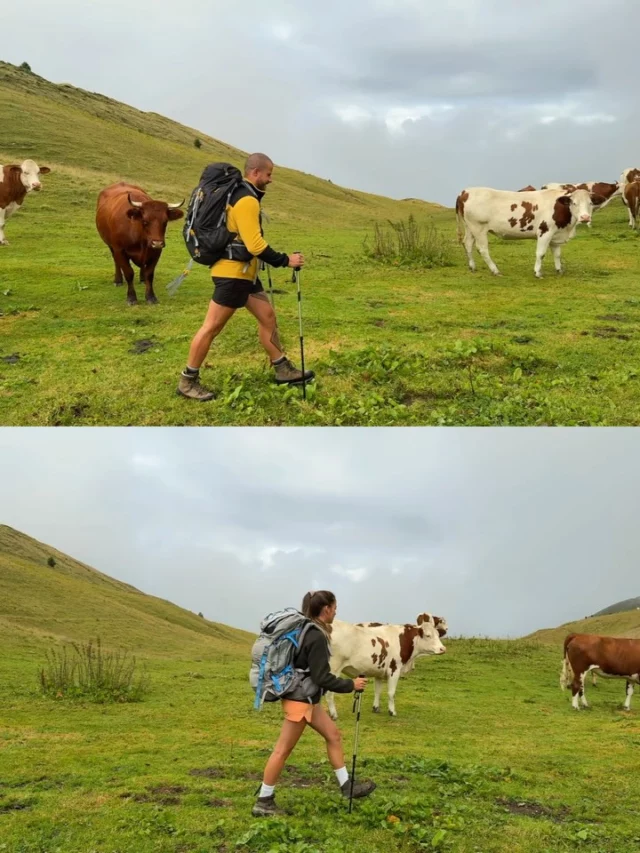Souvenirs de Morzine ✨🏔️
Team été à la montagne vous aussi ? 😍 c’est clairement notre passion avec Valou !! Cette petite semaine est passée beaucoup trop vite et c’était parfait 🥹
- un bivouac au refuge de la Golèse 🐄
- dormir à la pointe de Nyon 🏕️
- se rafraîchir au Lac de Montriond 🧚
- découvrir la vallée de la Manche en été 🥾
- faire de la via ferrata sur les hauteurs 🧗
- terminer par une balade à cheval avec 📍Le centre équestre de Morzine 🥰
Et plein d’autres activités !! 

On a déjà hâte de revenir ❤️

Collaboration commerciale @morzineofficiel